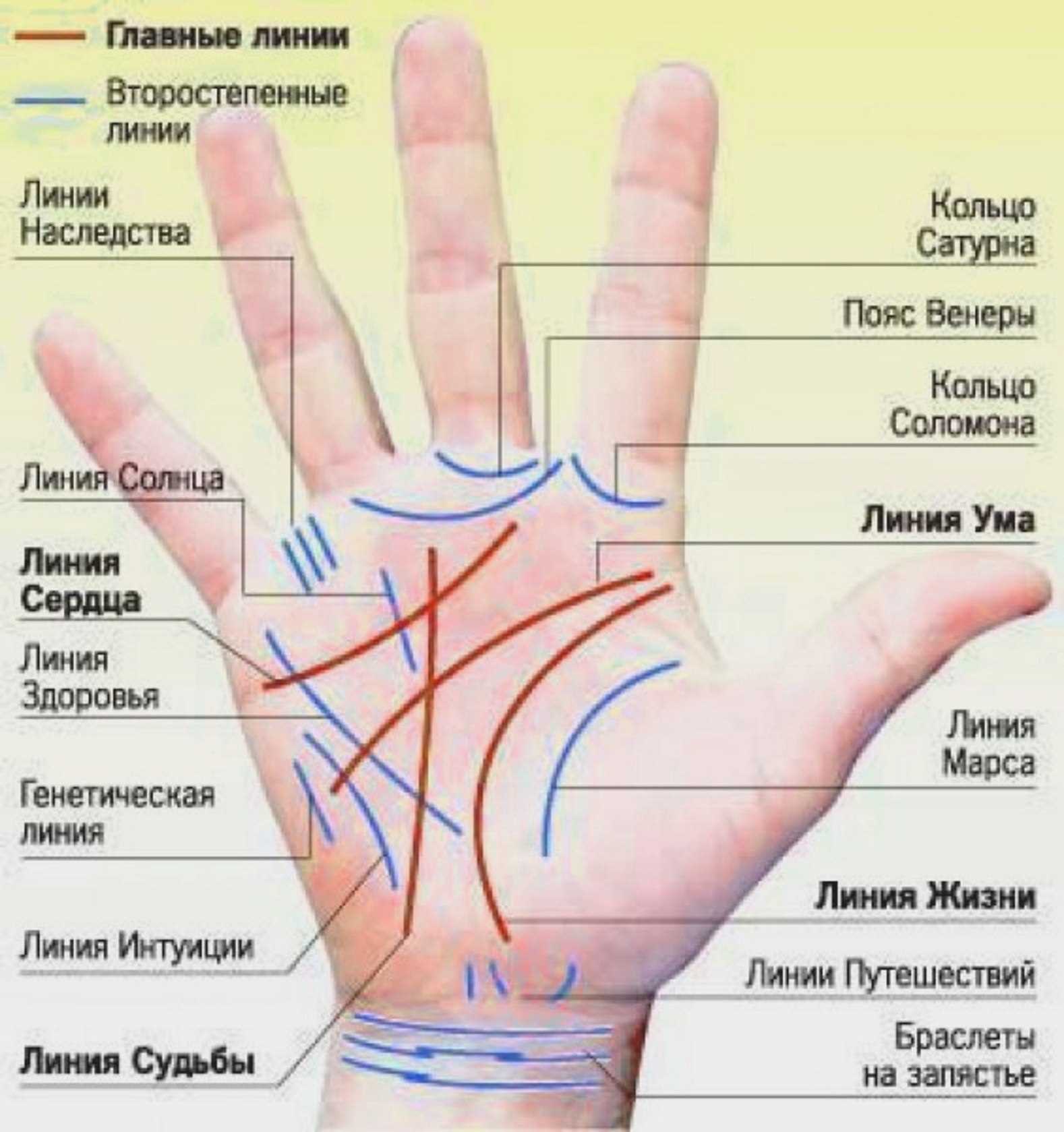 Что раскрывает черта разума